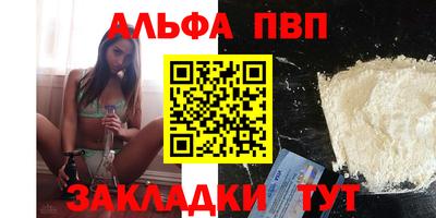 мет Кингисепп
