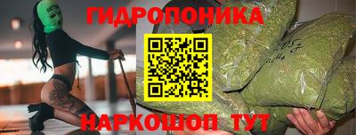 мет Кингисепп