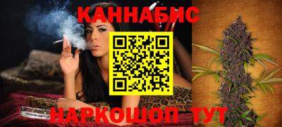 мет Кингисепп