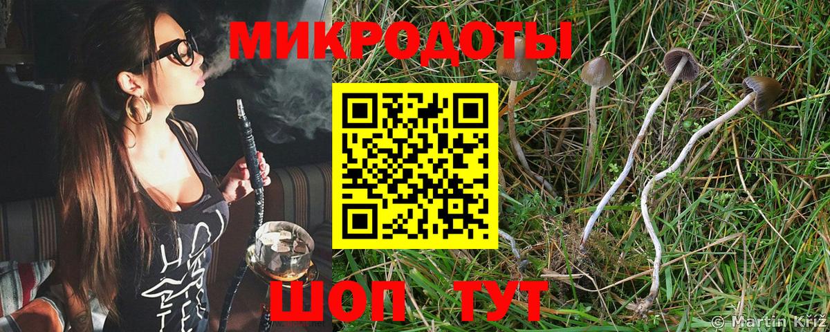 Псилоцибиновые грибы прущие грибы  Псилоцибиновые грибы MAGIC MUSHROOMS  Краснознаменск  Вход с VPN 
